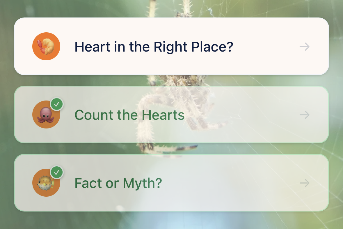 Quiz — Quizpedition screenshot